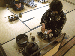 ����-����