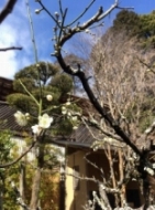 ���̒���