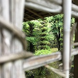 �J���̒���