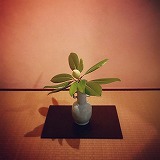 �J���̒���