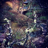 �Ԏ����̏���2018