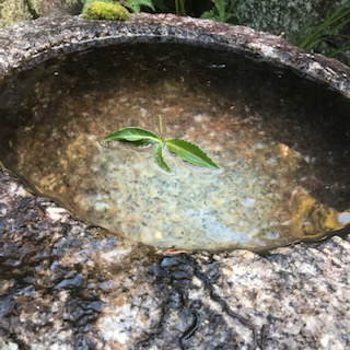 �Ԏ���-����