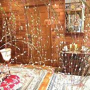 ���Ղ�̒���