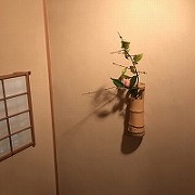 �J�F�̒���