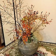 �J�F�̒���