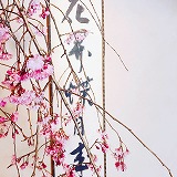 �ύ��̒���