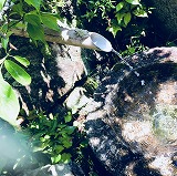 �����F�̒���