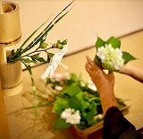 表雙樹庵千家研究会