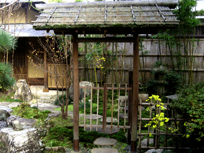 �Ԏ���-����