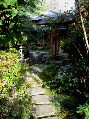 �Ԏ���-�O�I�n���璆��