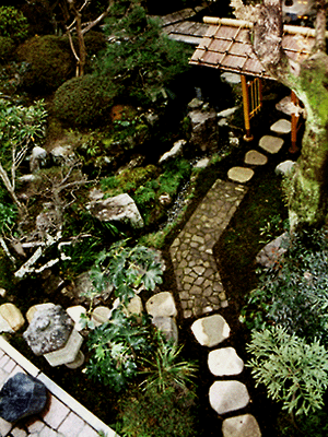 �Ԏ���-�I�n �ォ��̐}